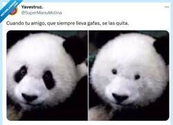 Enlace a Ojos chiquitísimos por @supermanumolina