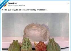 Enlace a El hipnosapo por @supermanumolina