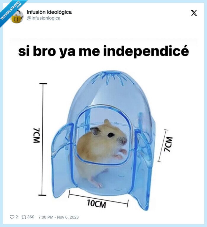 hamster,pequeño,nave,rata