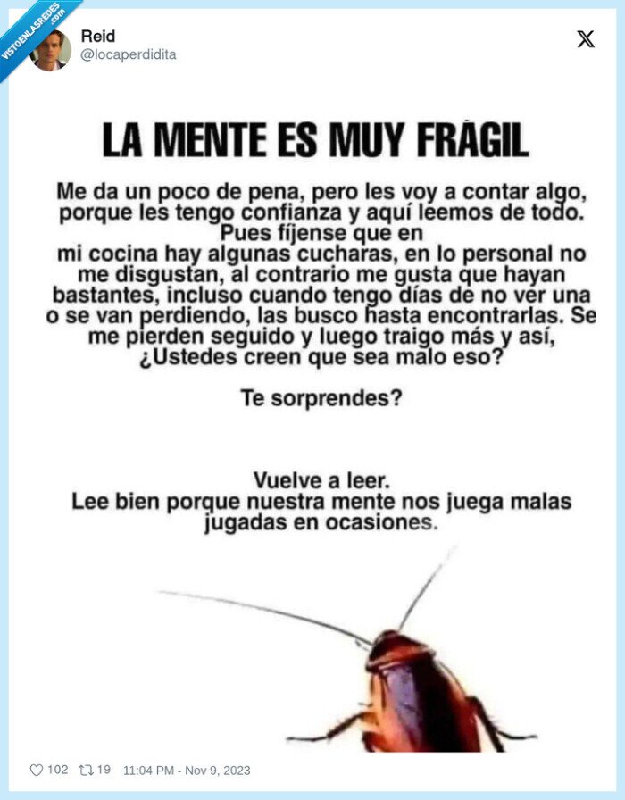 mente,frágil,cucaracha