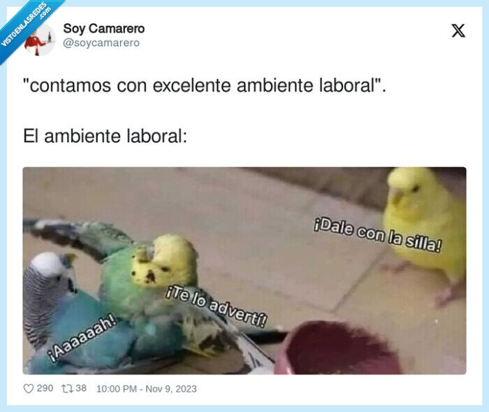 excelente,riñas,ambiente laboral