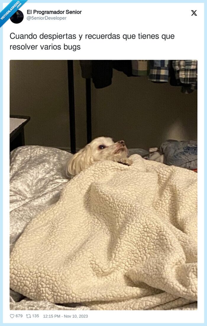 despertar,recordar,bugs,resolver