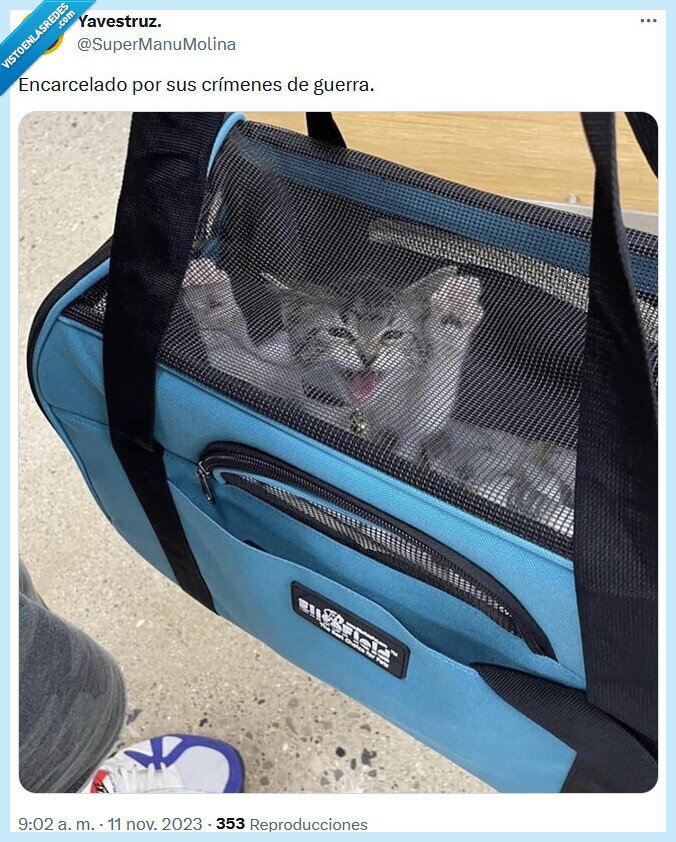 cárcel,guerra,crímenes,gato