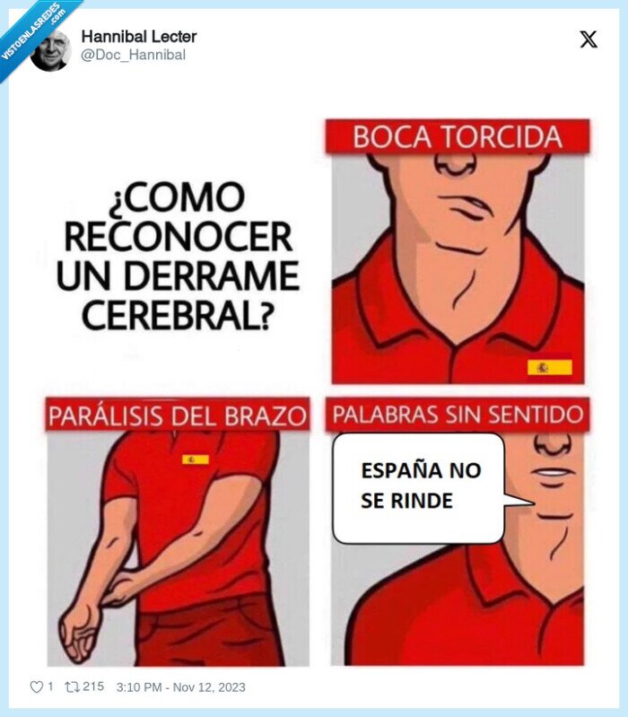 españa,defender,amnistia