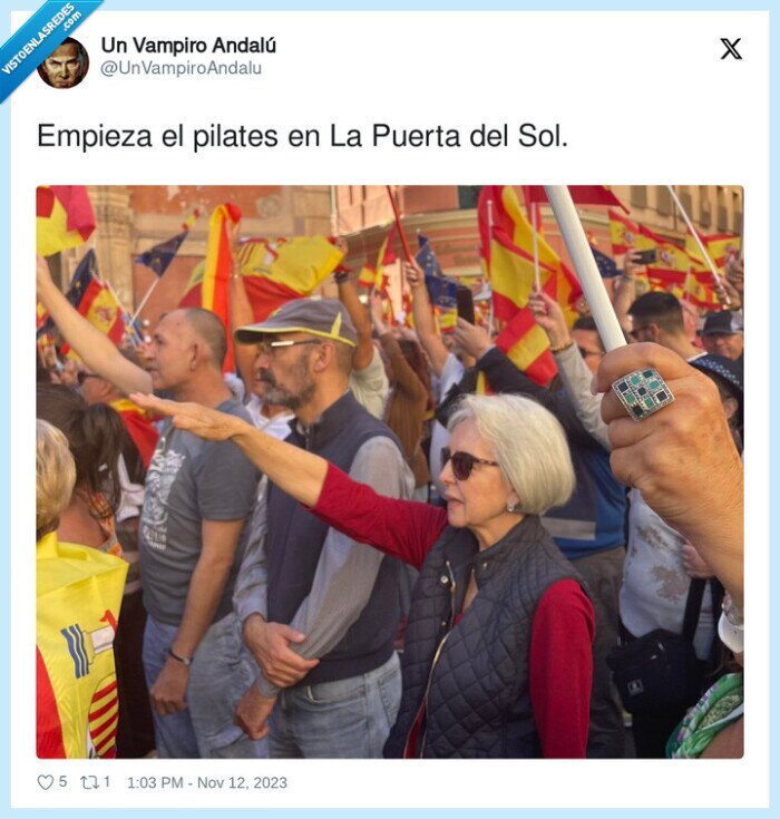 puerta del sol,manifestacion,facha,abuela