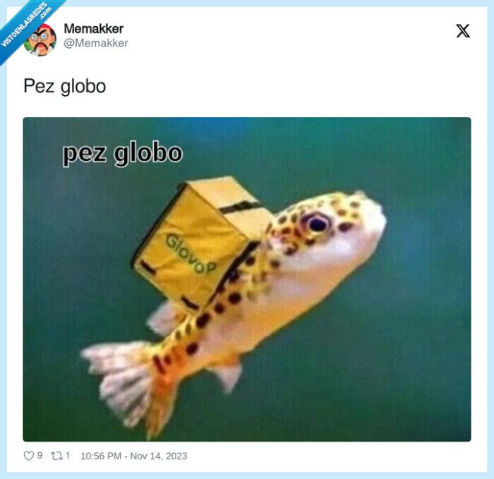 pez globo,glovo,repartidor