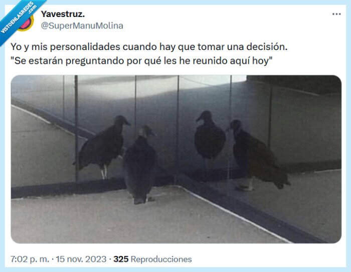 decisión,personalidades