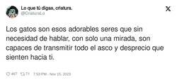 Enlace a Son unos cabrones pero se les quiere, por @CriaturaLo