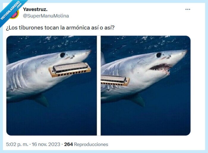 armónica,tiburón,tocar