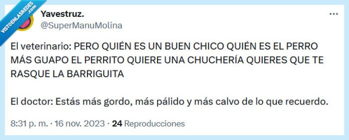 veterinario,doctor,perro