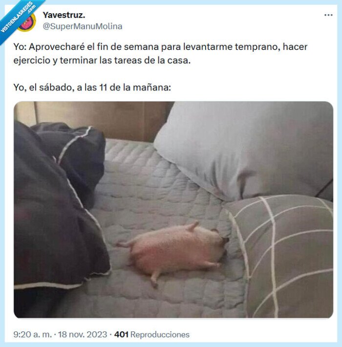 tareas,sábado,aprovechar