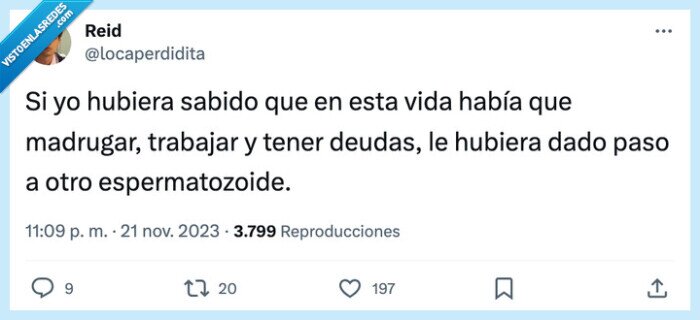 rapido,espermatozoide