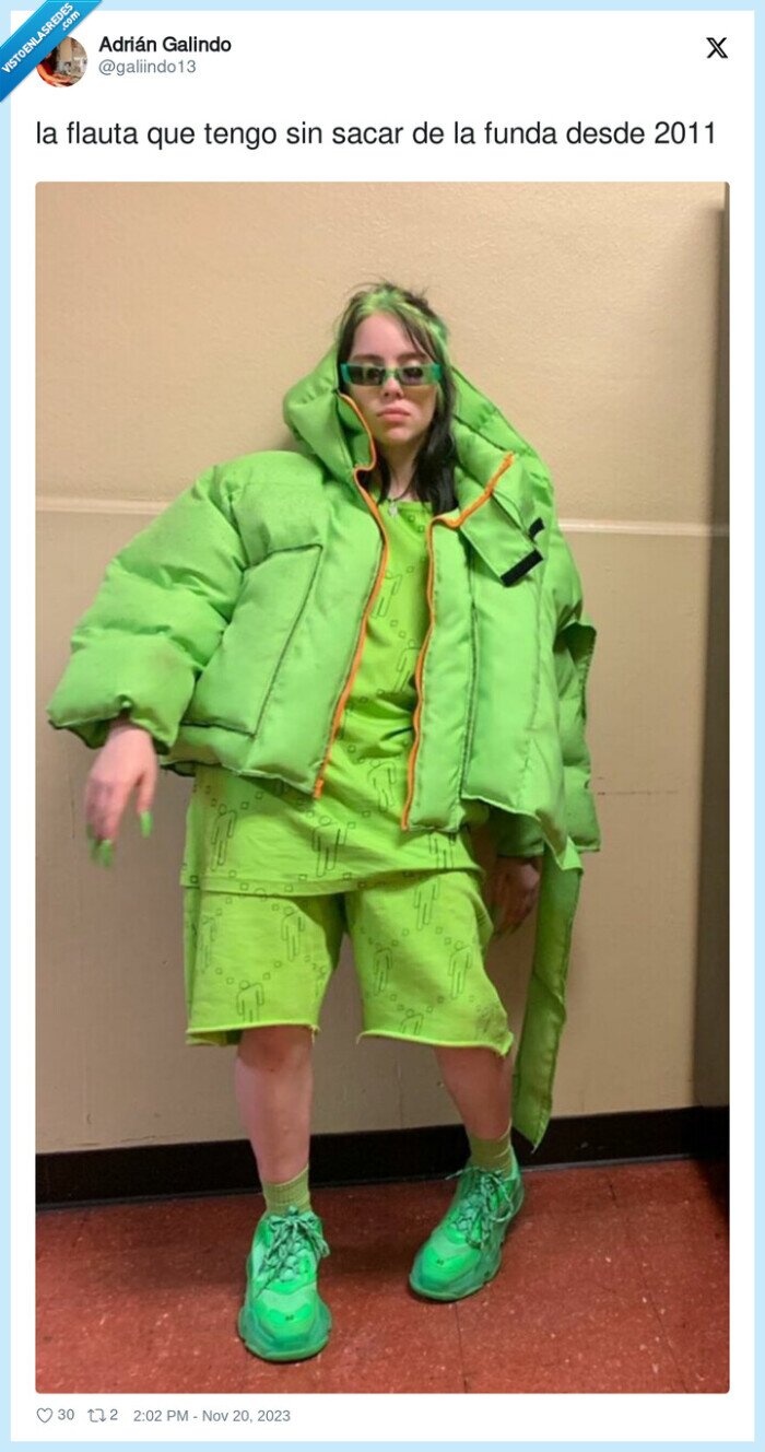 flauta,sacar,funda,verde,billie eilish