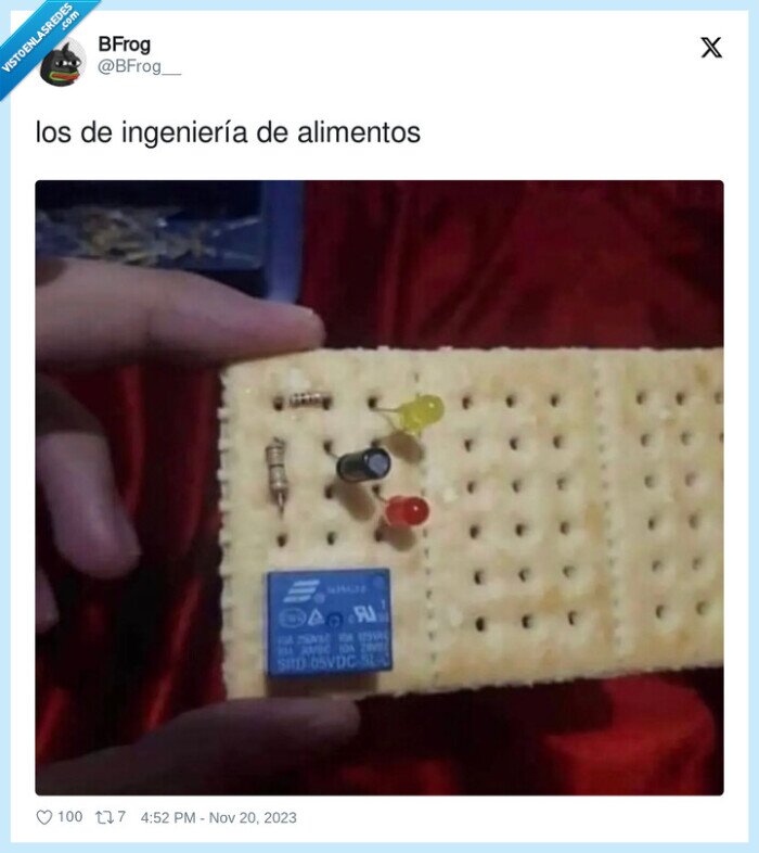 ingeniería,alimentos,galleta,chip