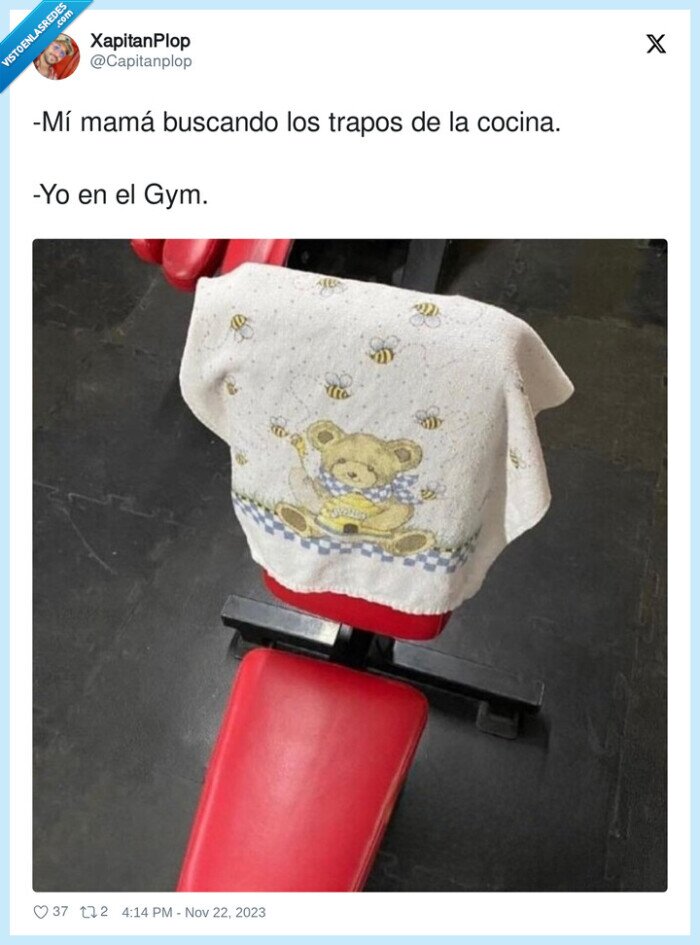 trapo,babero,osito,madre,gym