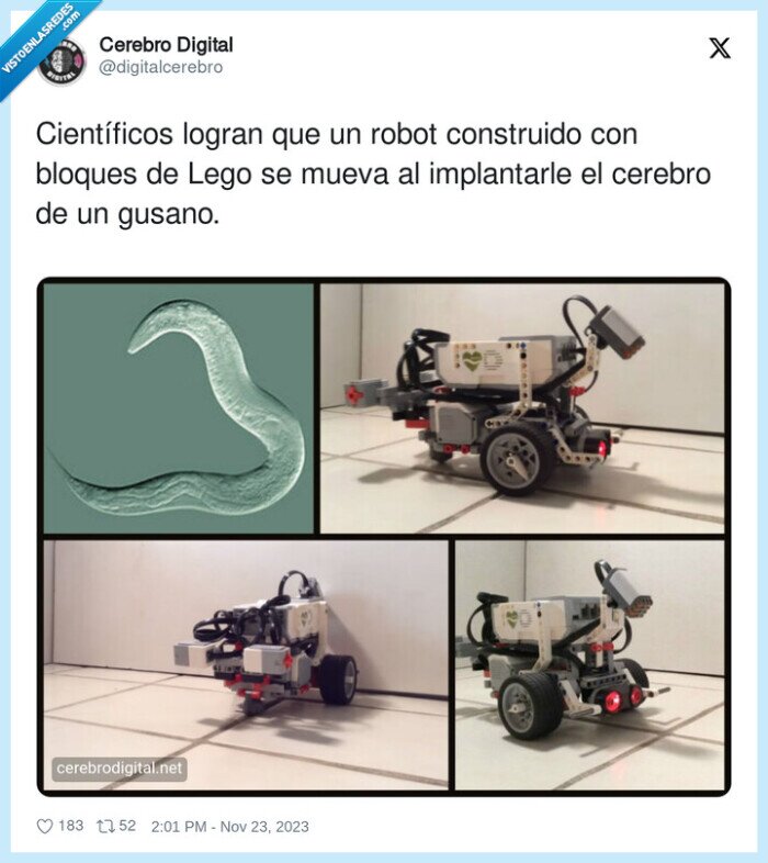 científicos,implantarle,gusano,bloques,cerebro