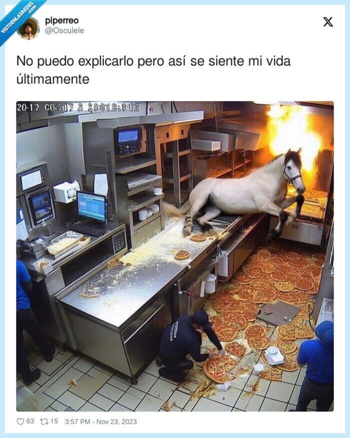 caballo,destrozo,pizzas,cocina