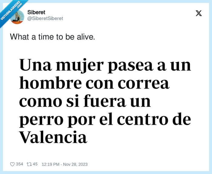 mujer,pasear,hombre,perro,valencia