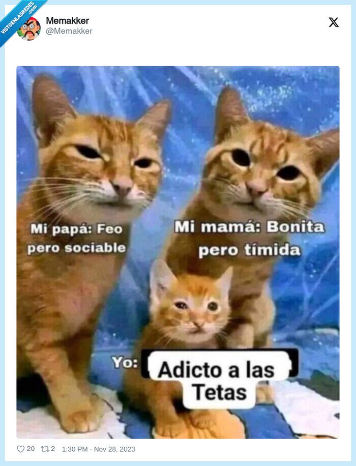 gato,adicto,tetas,padre,madre