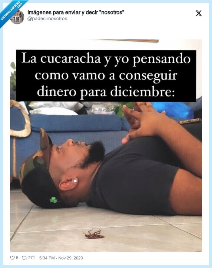 cucaracha,pensar,dinero,diciembre
