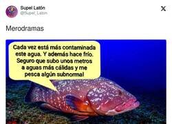 Enlace a Merodramas, por @Supel_Laton