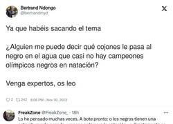 Enlace a Ndongo de VOX preguntando por qué la gente de color no son buenos en natación... y tiene su respuesta
