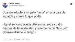 Enlace a Los gatos se amarquesan rápido, por @Farmaenfurecida