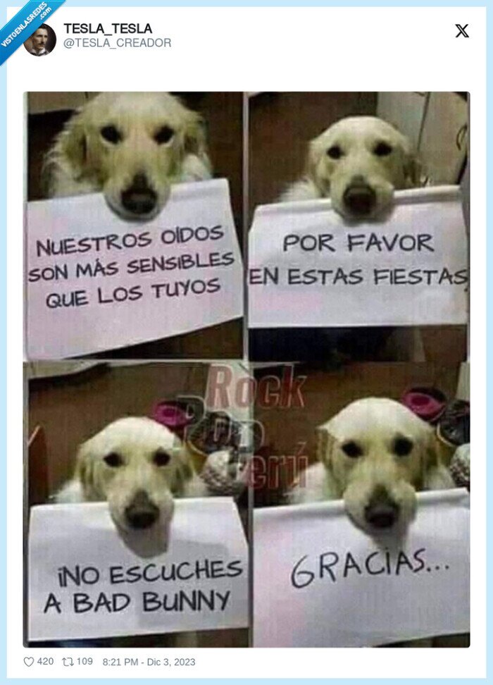 perro,bad bunny,oidos sensible