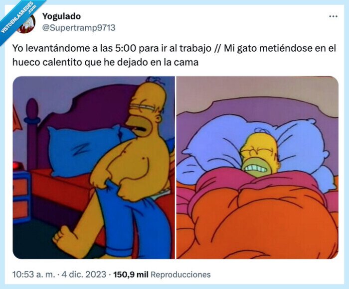 levantándome,metiéndose,calentito,trabajo,gato,hueco