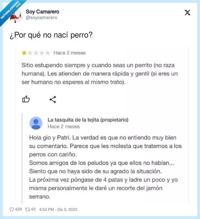 perro,bar,reseña