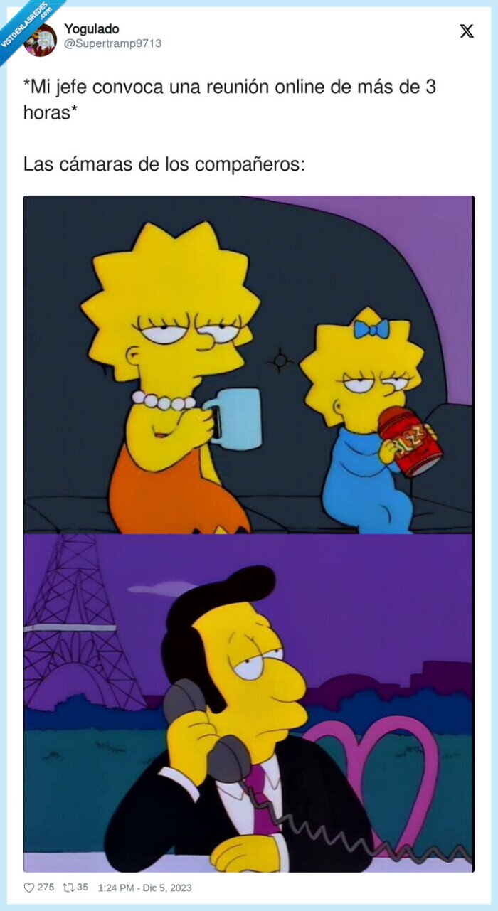 compañeros,reunión,cámaras,convocar,online