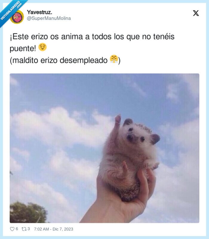 desempleado,tenéis,puente,erizo,animar