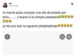 Enlace a Cuidado con comprar en Temu, o te puede pasar como a la madre de esta chica