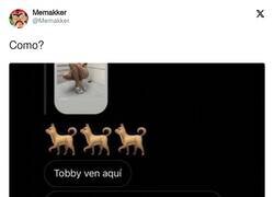 Enlace a Tobby no estaría orgulloso de su dueño, por @Memakker