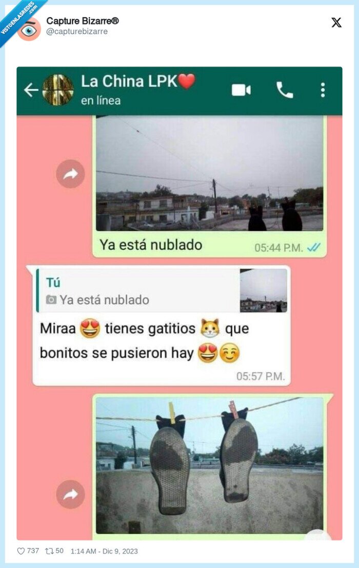 tendido,zapatos,bambas,zapatillas,gatitos