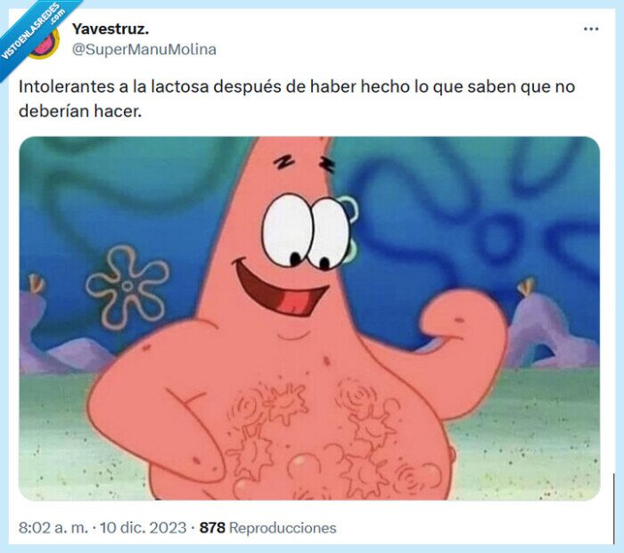 intolerantes,lactosa,leche