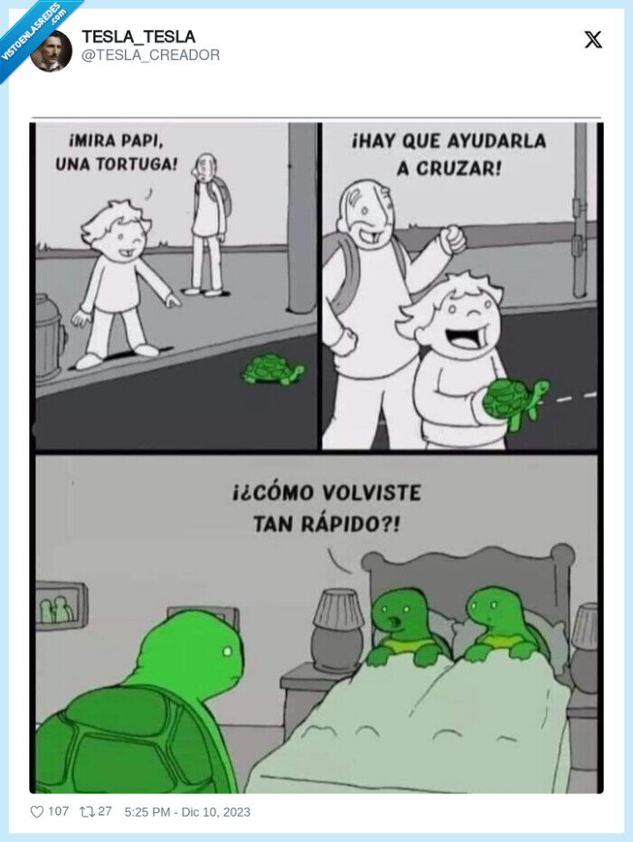 ayudar,tortuga,padres,caminar,lento