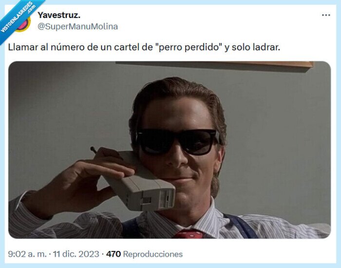 cartel,perro,perdido,llamar