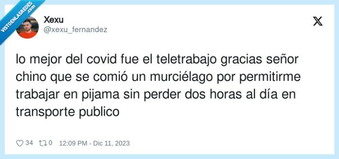 murciélago,teletrabajo,permitirme,transporte,trabajar,coronavirus