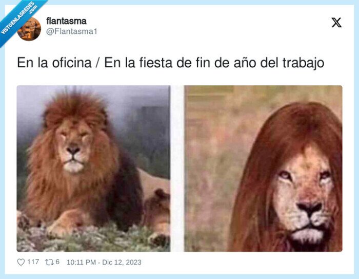 oficina,trabajo,fiesta,cena de empresa