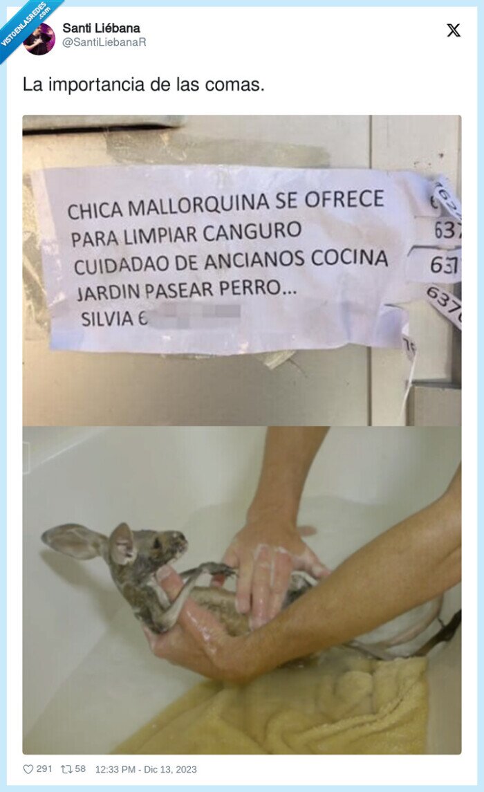 importancia,comas,canguro,limpiar,trabajo