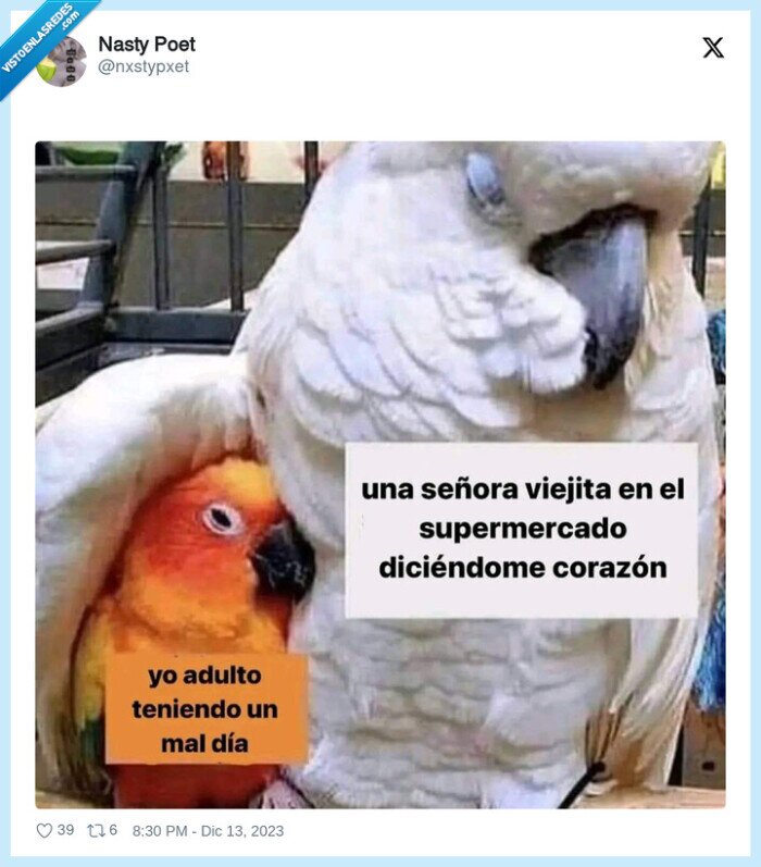 mal dia,adulto,señora,loros,corazon