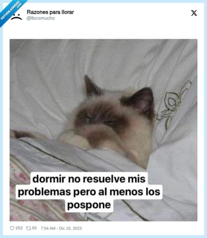 dormir,posponer,problemas