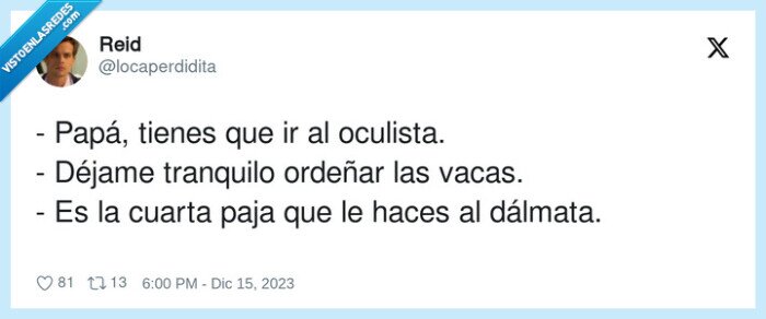 tranquilo,oculista,ordeñar,dálmata