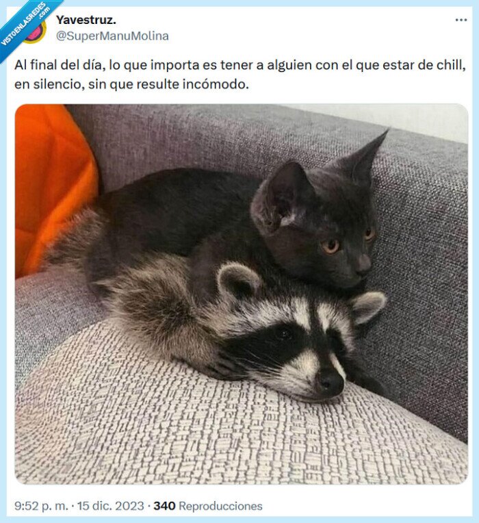 chill,importante,incómodo