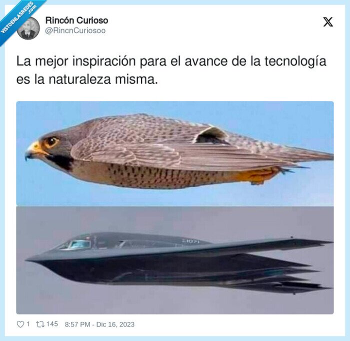 inspiración,tecnología,naturaleza,pajaro,avion