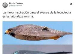 Enlace a Vaya plagio, por @RincnCuriosoo