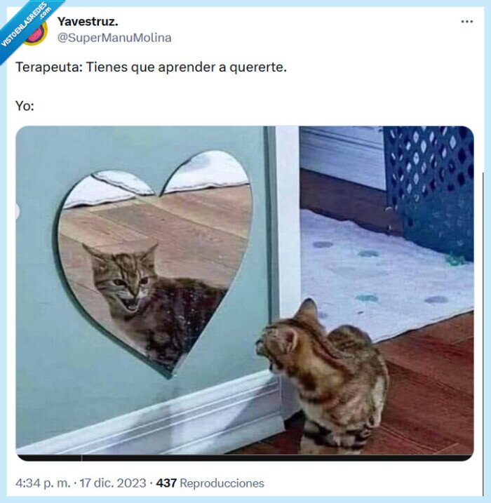 quererte,terapeuta,gato