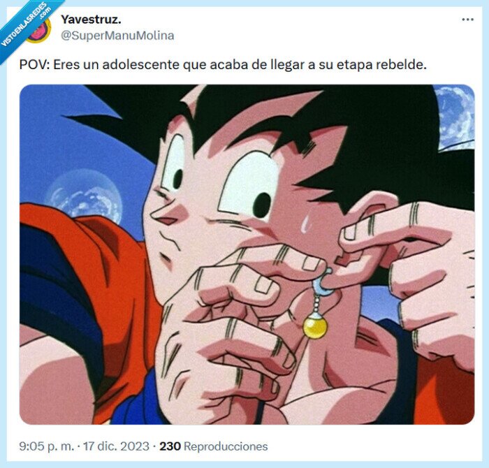 rebelde,dragon ball,adolescente