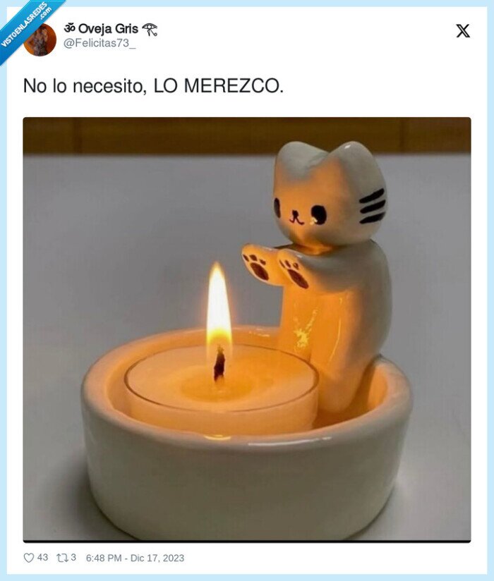 gatito,fuego,vela